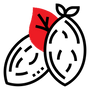 icons of two almonds with a red leaf