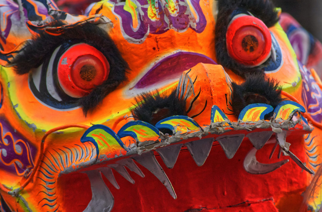 Chinese Dragon from New Year's Celebration
